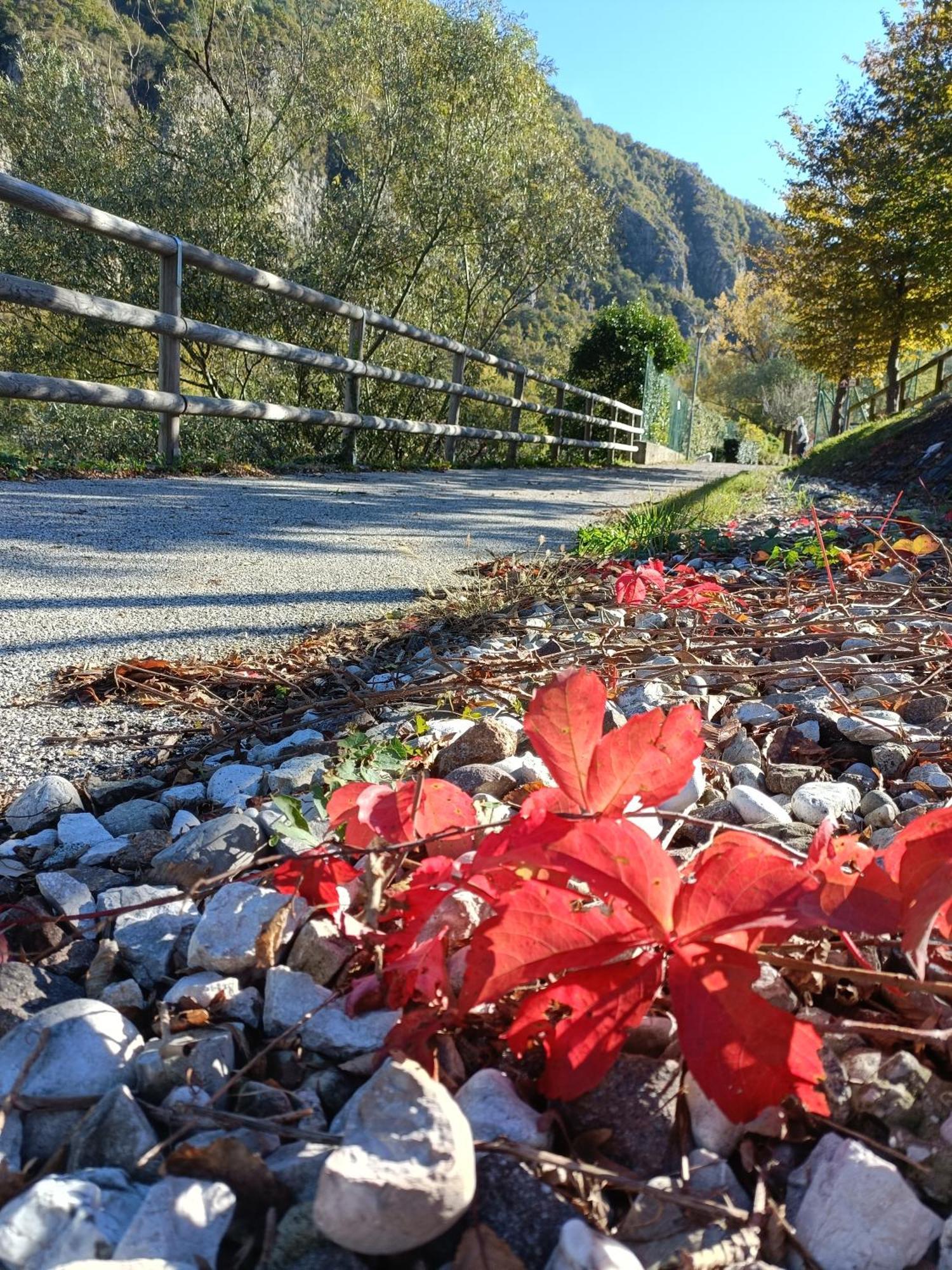 Borgo Lungofiume B&B Valbrenta 外观 照片