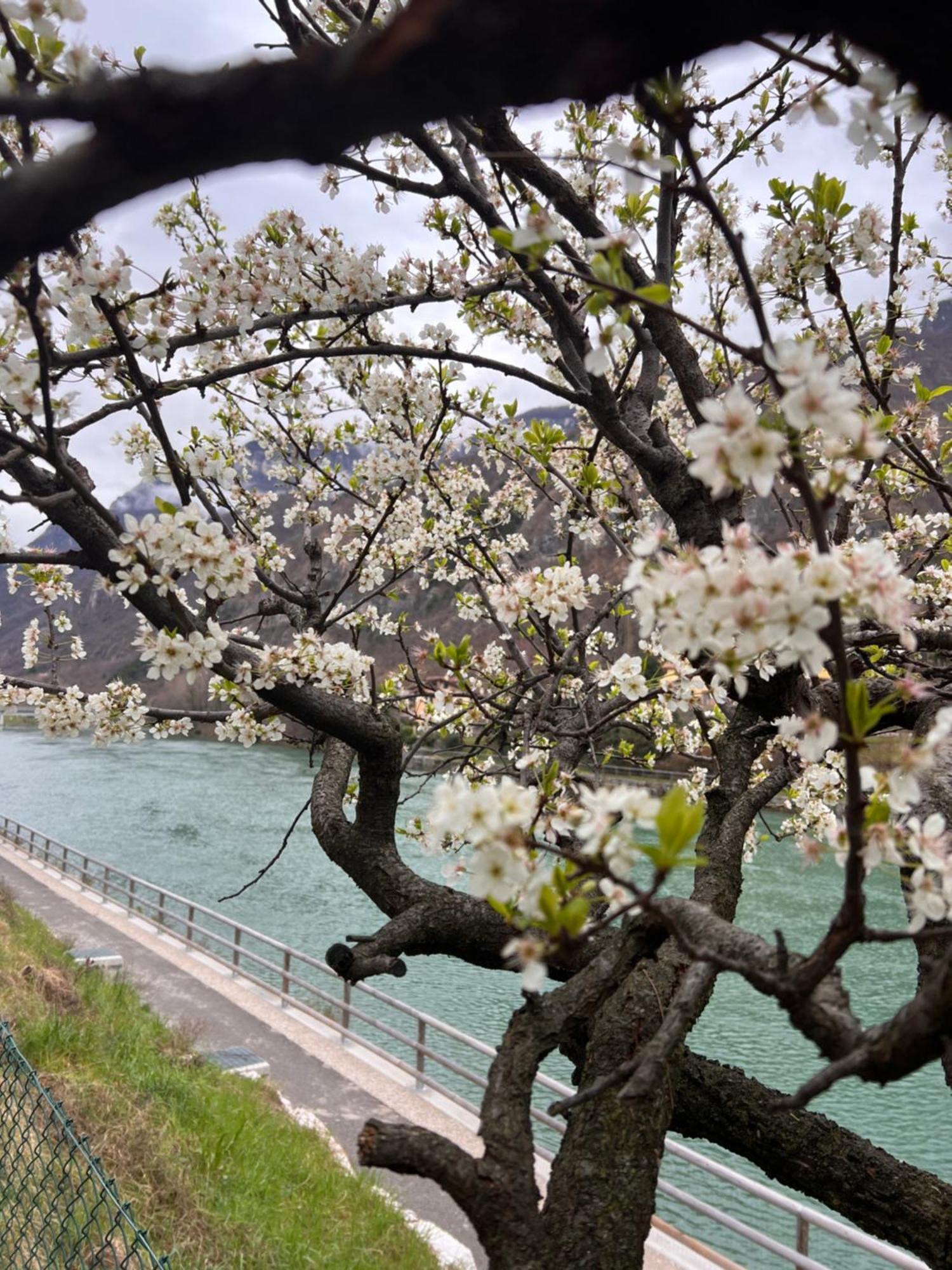 Borgo Lungofiume B&B Valbrenta 外观 照片